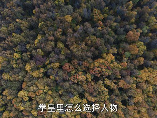 拳皇里怎么选择人物
