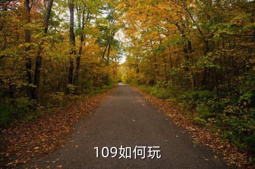 109如何玩