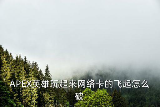 APEX英雄玩起来网络卡的飞起怎么破