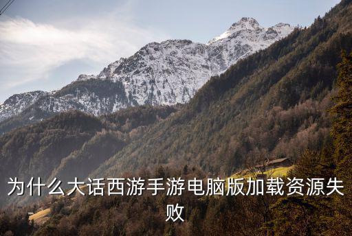 为什么大话西游手游电脑版加载资源失败