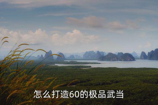 怎么打造60的极品武当