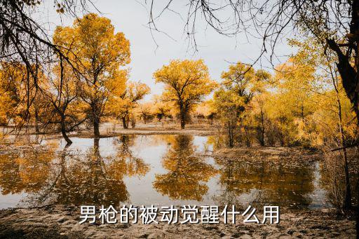 男枪的被动觉醒什么用