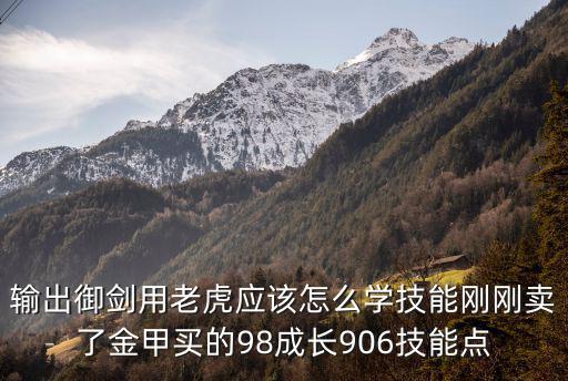 输出御剑用老虎应该怎么学技能刚刚卖了金甲买的98成长906技能点