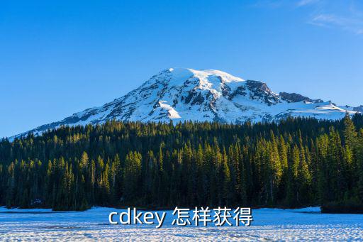 cdkey 怎样获得