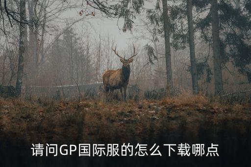 请问GP国际服的怎么下载哪点