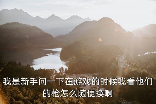 我是新手问一下在游戏的时候我看他们的枪怎么随便换啊
