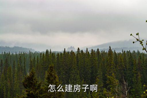 怎么建房子啊