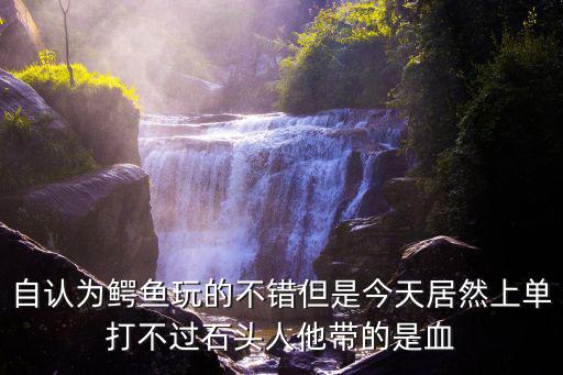 鳄鱼怎么打石头手游，有一款游戏是岛屿有鳄鱼生存游戏最后还有僵尸来僵尸打死有