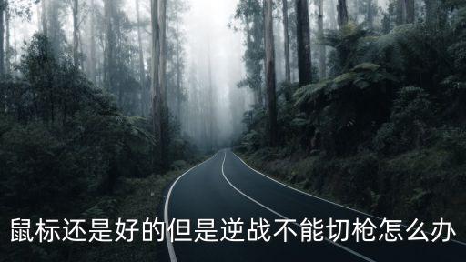 鼠标还是好的但是逆战不能切枪怎么办