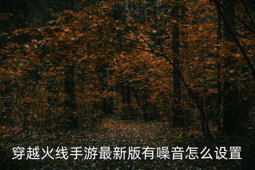 穿越火线手游最新版有噪音怎么设置