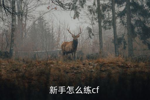 新手怎么练cf
