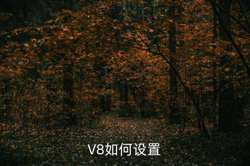 V8如何设置