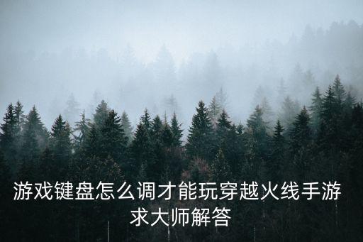 游戏键盘怎么调才能玩穿越火线手游 求大师解答