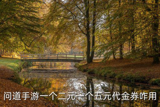 问道手游套餐怎么用，问道手游一个二元一个五元代金券咋用