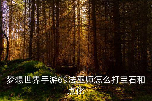 梦想世界手游爬塔巫师怎么玩，梦想世界巫法怎么玩重点点什么招