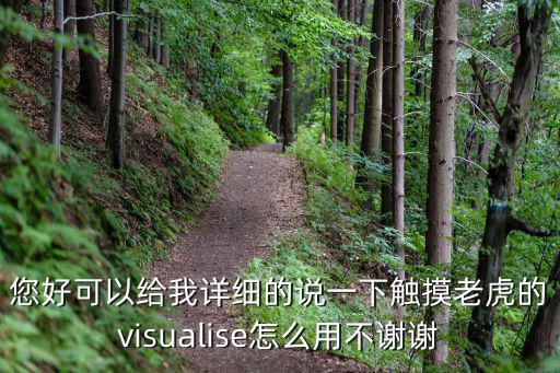 您好可以给我详细的说一下触摸老虎的visualise怎么用不谢谢