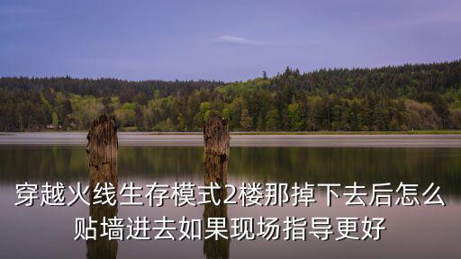 穿越火线生存模式2楼那掉下去后怎么贴墙进去如果现场指导更好