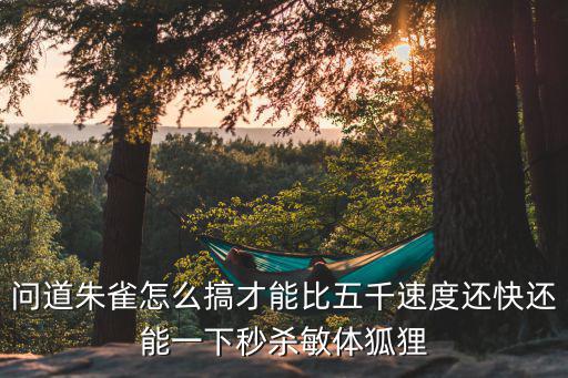问道朱雀怎么搞才能比五千速度还快还能一下秒杀敏体狐狸