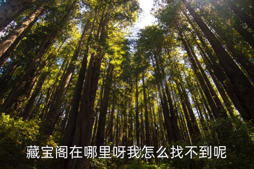剑侠情缘手游藏宝阁怎么进入，怎么进藏宝阁啊
