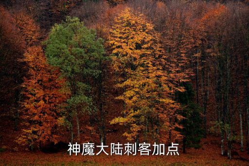 神魔大陆刺客加点