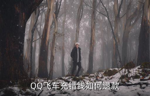 QQ飞车充错钱如何退款