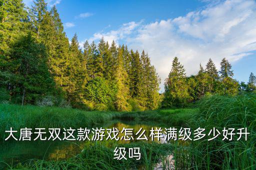 大唐无双这款游戏怎么样满级多少好升级吗