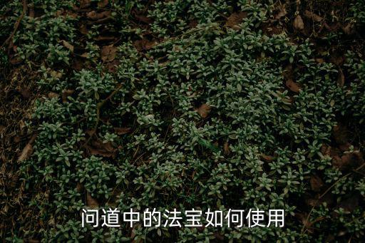 问道中的法宝如何使用