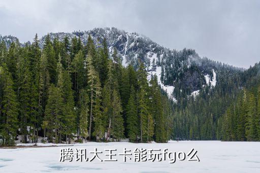fgo手游大王怎么样，FGO这款手游可玩性高不高