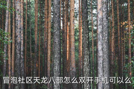 冒泡社区天龙八部怎么双开手机可以么