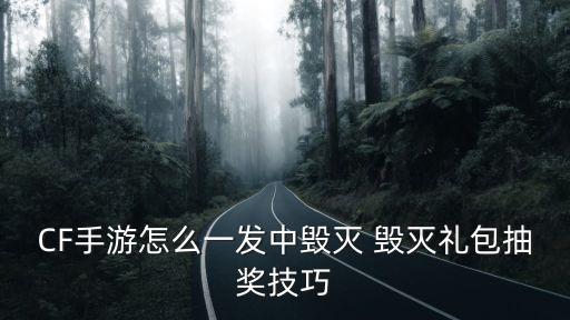 cf手游地狱毁灭者怎么得，CF手游怎么一发中毁灭 毁灭礼包抽奖技巧