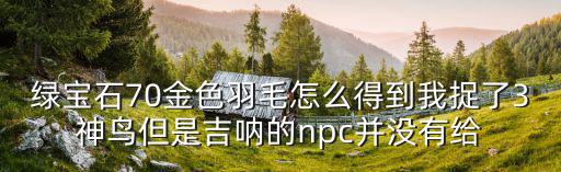 绿宝石70金色羽毛怎么得到我捉了3神鸟但是吉呐的npc并没有给