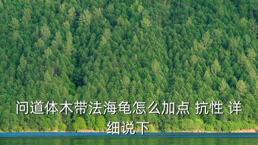 问道体木带法海龟怎么加点 抗性 详细说下