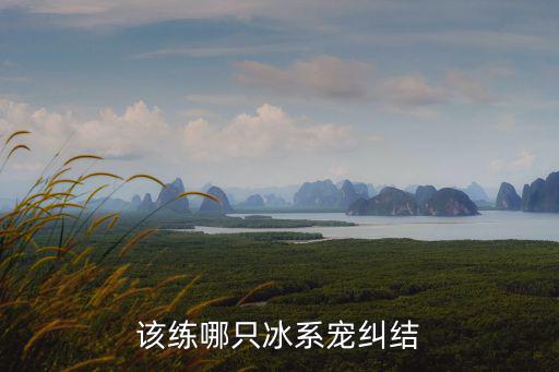 该练哪只冰系宠纠结