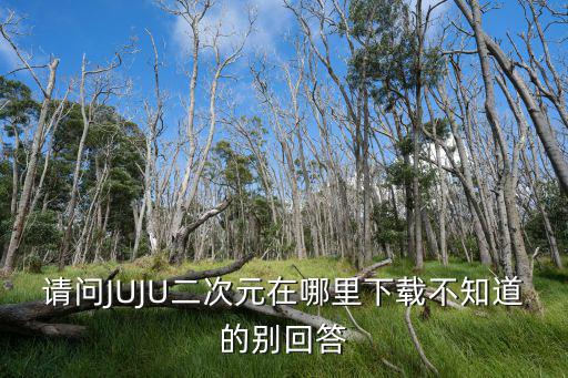 请问JUJU二次元在哪里下载不知道的别回答