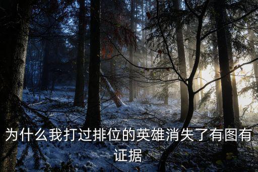 手游排位生化加速的角色怎么没了，为什么排位里有时有些英雄没有那人物