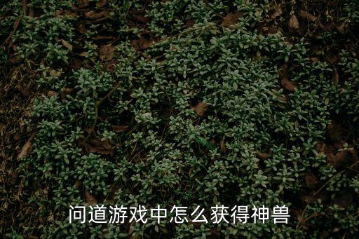 问道游戏中怎么获得神兽