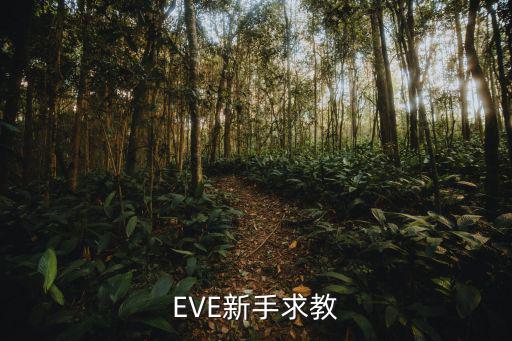 eve手游怎么造训练舰，EVE新人求指教需要一份米玛塔尔的战斗路线人物技能学习