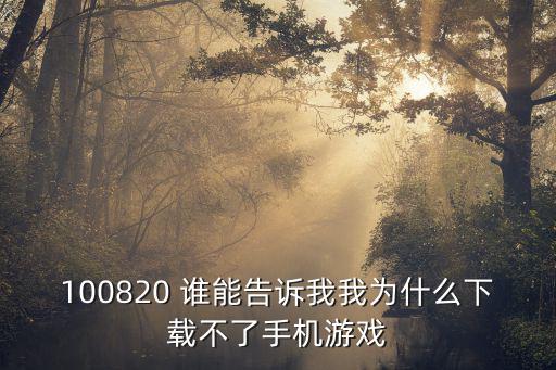 100820 谁能告诉我我为什么下载不了手机游戏