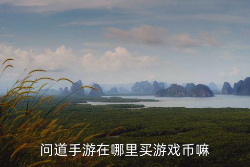 问道手游老区游戏币怎么购买，问道游戏币怎样购买