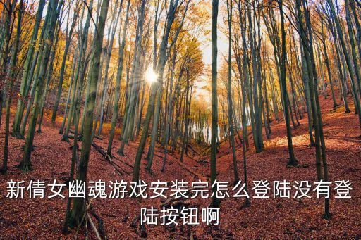 倩女幽魂手游买的号怎么登录，新倩女幽魂游戏安装完怎么登陆没有登陆按钮啊
