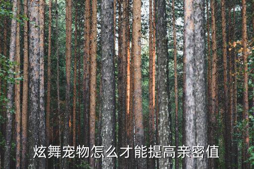 炫舞宠物怎么才能提高亲密值