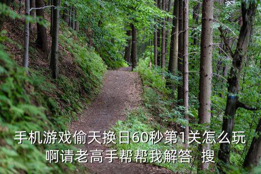 手机游戏偷天换日60秒第1关怎么玩啊请老高手帮帮我解答 搜