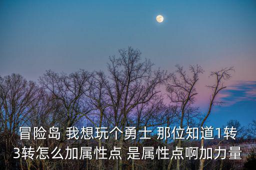 冒险岛 我想玩个勇士 那位知道1转3转怎么加属性点 是属性点啊加力量