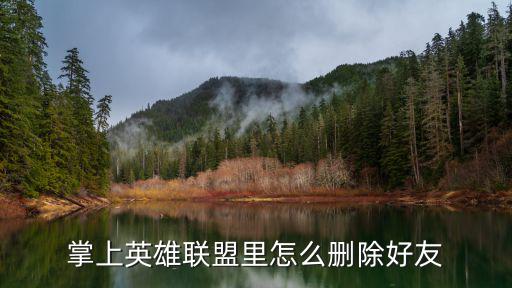手游英雄联盟黑名单怎么删好友，掌上英雄联盟里怎么删除好友