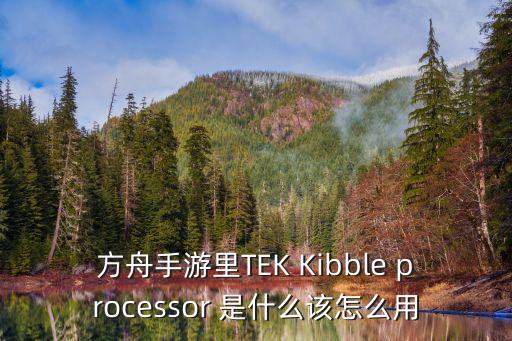 方舟手游里TEK Kibble processor 是什么该怎么用