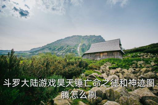 斗罗大陆游戏昊天锤亡命之徒和神迹图腾怎么刷