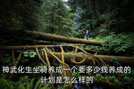 神武化生坐骑养成一个要多少钱养成的计划是怎么样的