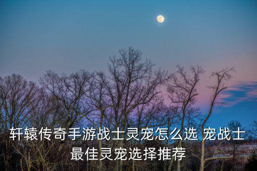 轩辕传奇手游灵宠怎么，轩辕传奇手游战士灵宠怎么选 宠战士最佳灵宠选择推荐