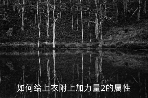 如何给上衣附上加力量2的属性