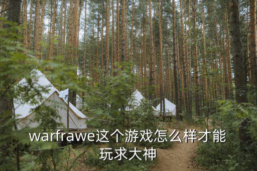 warfrawe这个游戏怎么样才能玩求大神